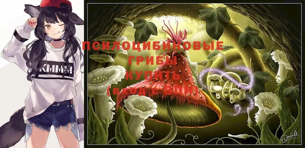 шишки Беломорск