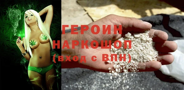 индика Арсеньев