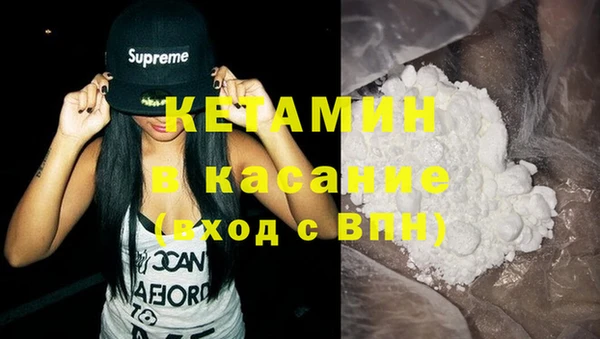 шишки Беломорск