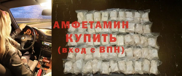шишки Беломорск
