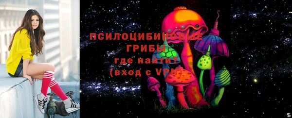 шишки Беломорск